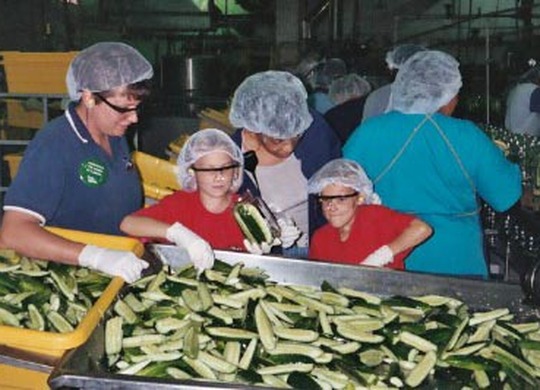 Stephen’s one-of-a-kind wish to be a pickle factory worker